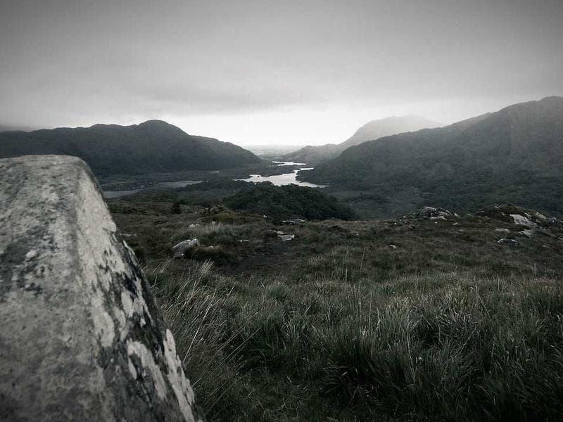 Photo of Ceviche de Camarón